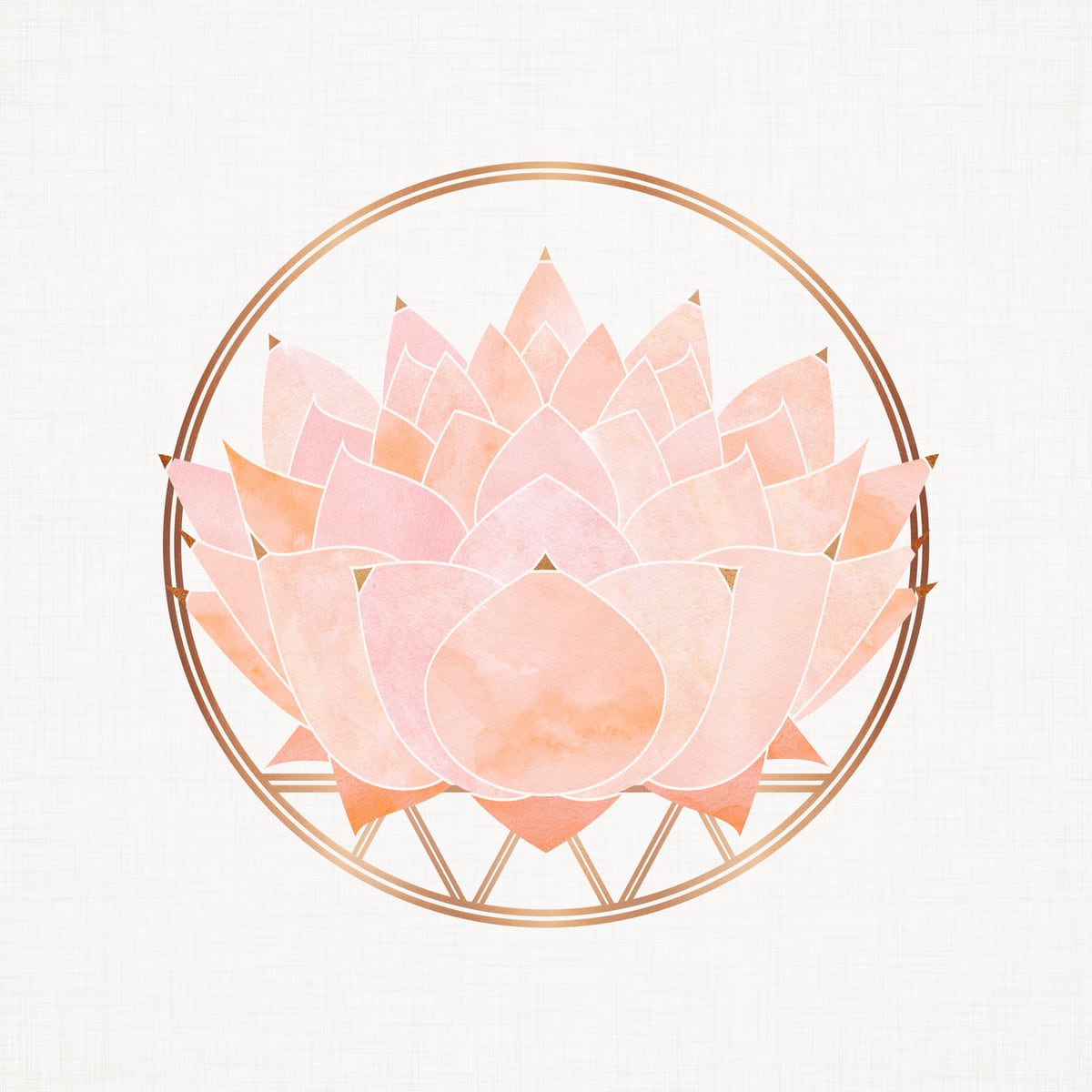 Peach Succulent  Blossom by Modern Tropical