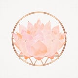 Peach Succulent  Blossom by Modern Tropical thumbnail
