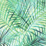 Abstract Tropical Palms by Modern Tropical thumbnail