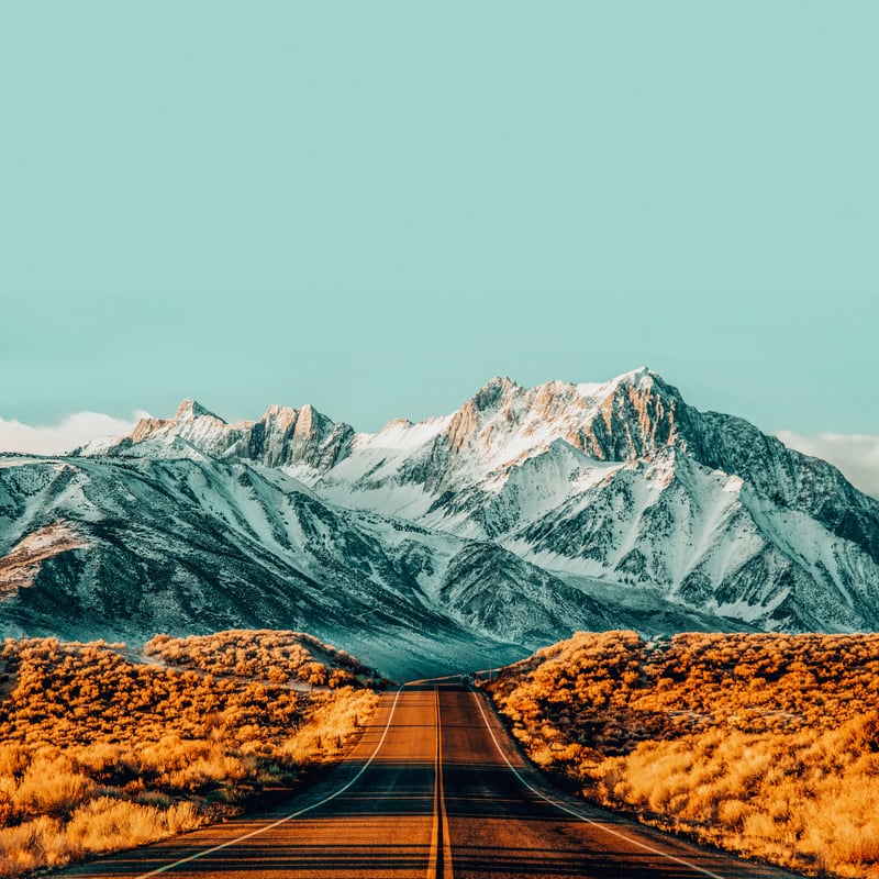The Road Less Traveled by 83 Oranges