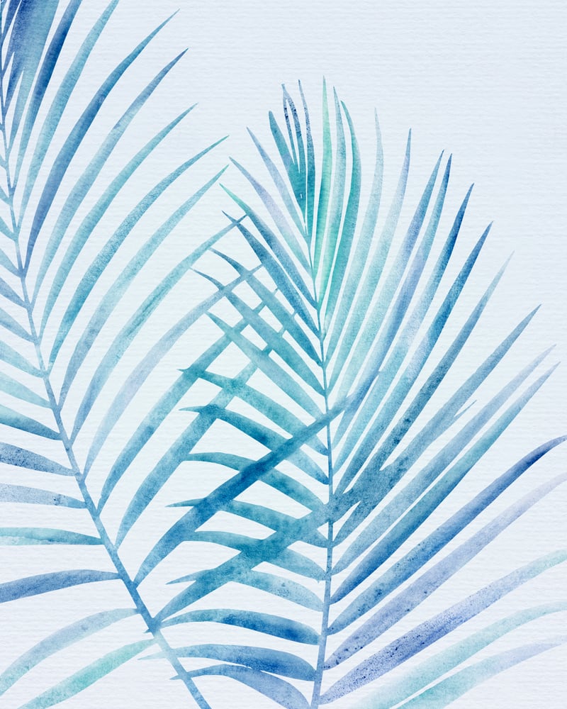 Coastal Palm Fronds by Modern Tropical