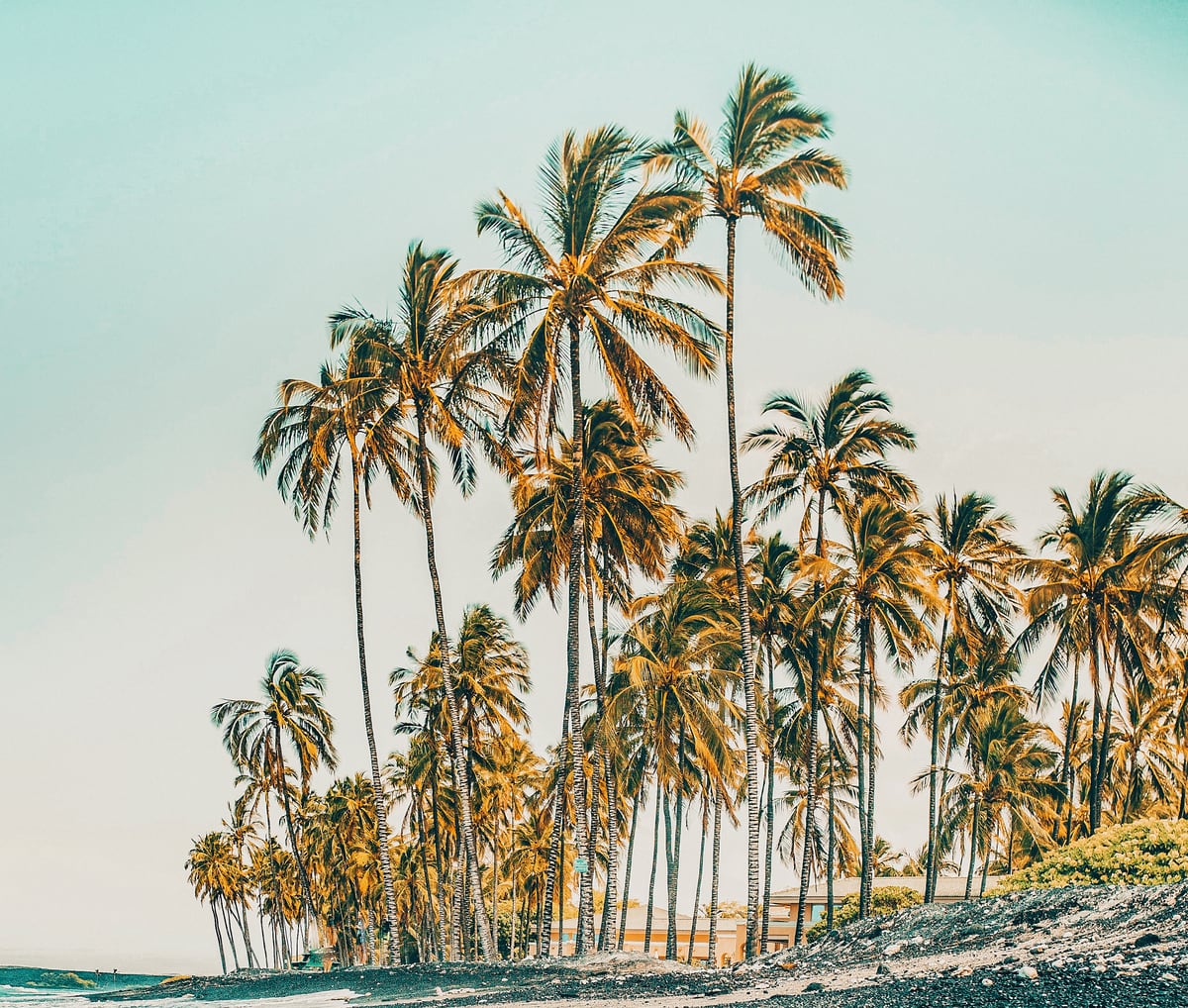 Island Life III by 83 Oranges