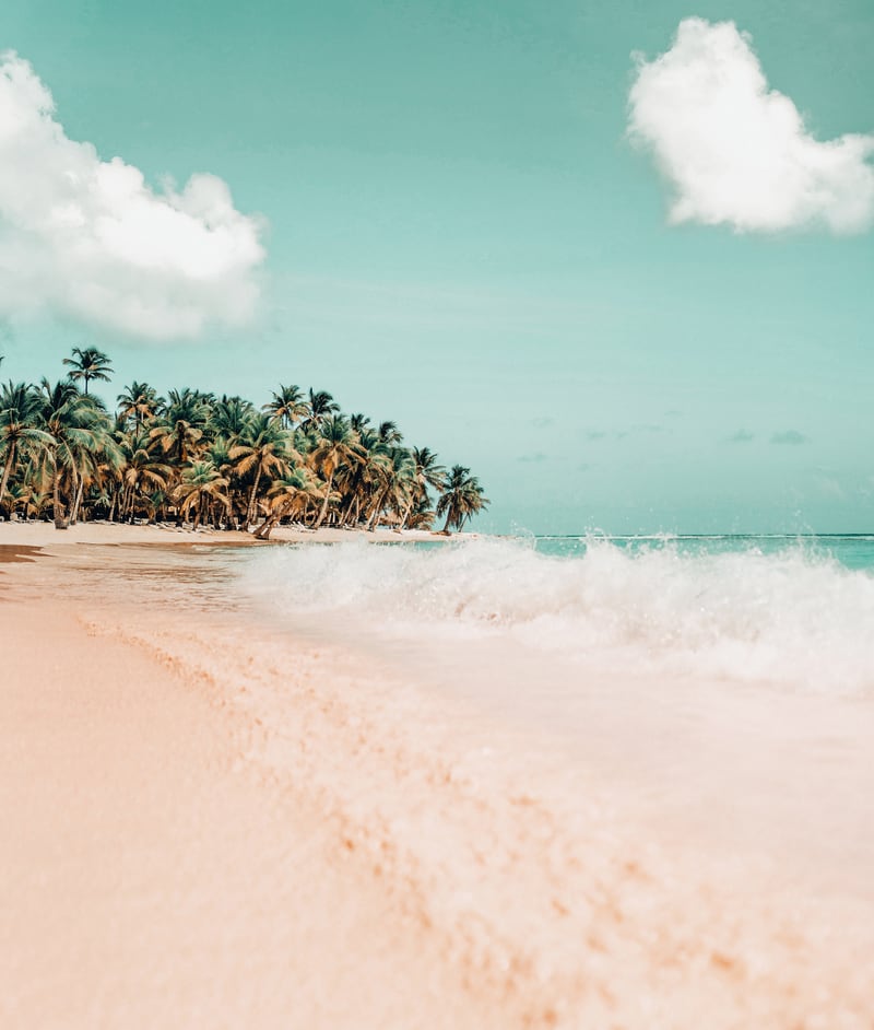 Palm Island by 83 Oranges