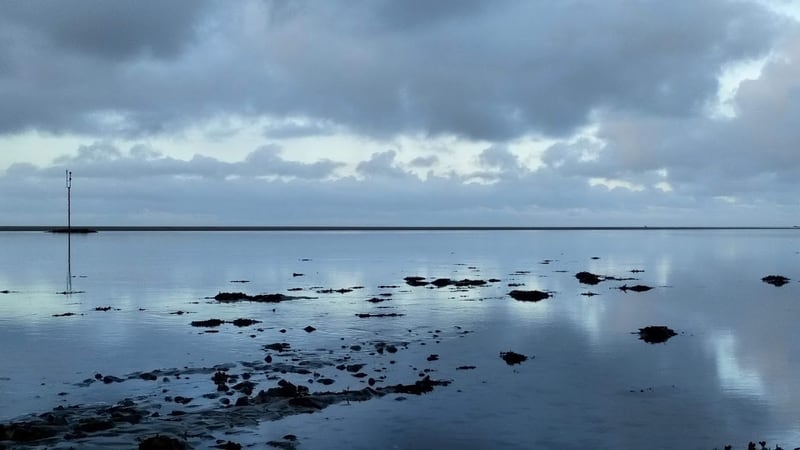Estuary Reflection by Dom Mcsweeney