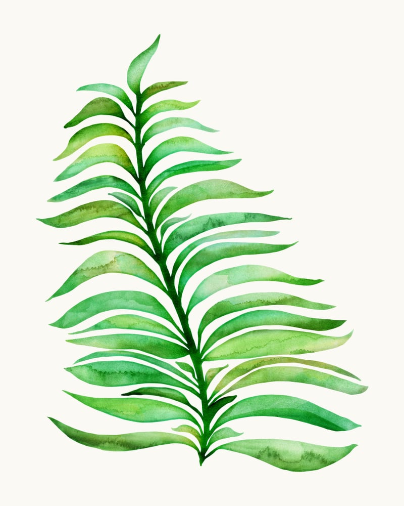 Summer Greenery by Modern Tropical