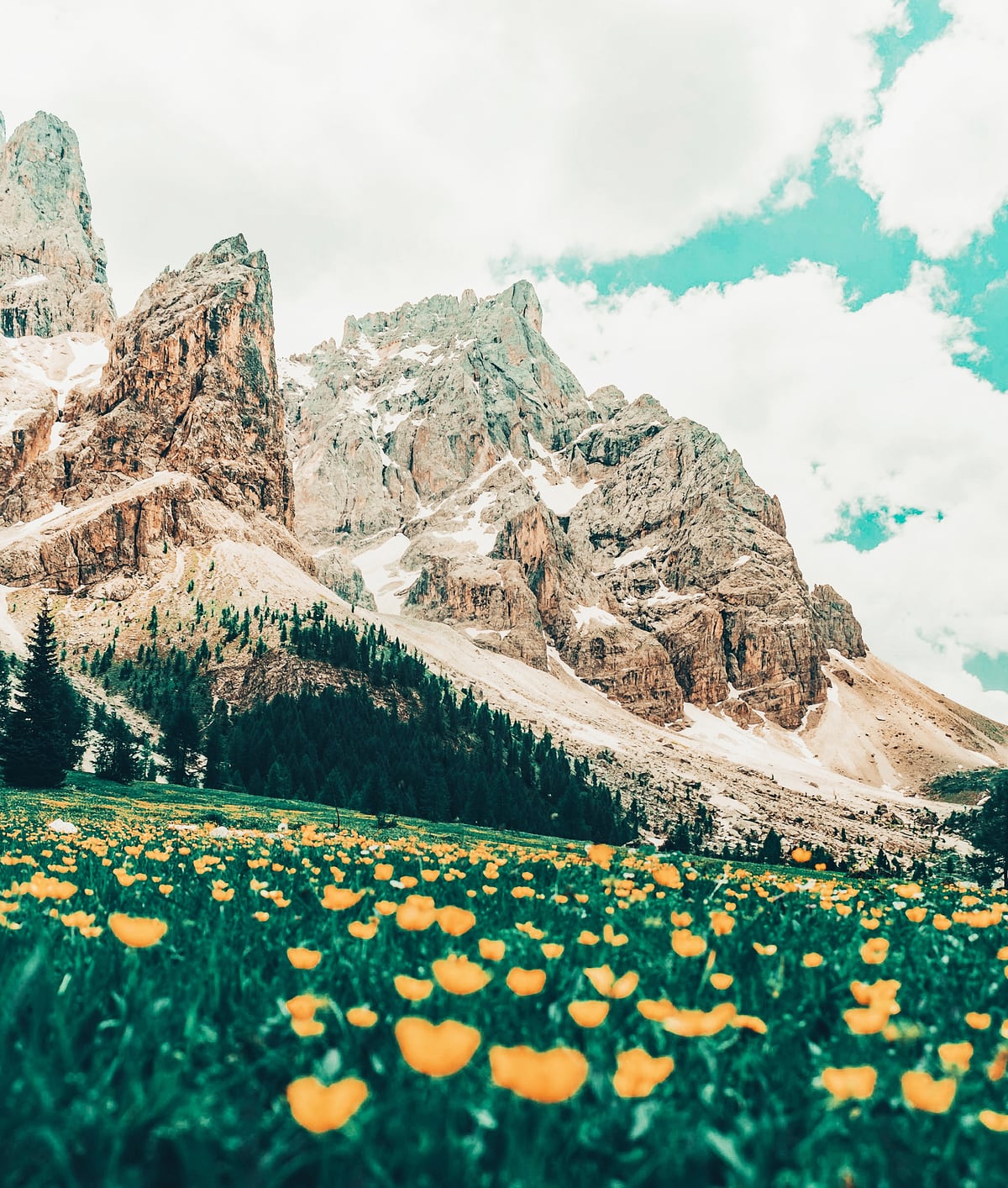 Hillside Meadow by 83 Oranges