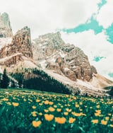 Hillside Meadow by 83 Oranges thumbnail
