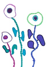 Colour Makes Fun (Wc) by Helen Joynson thumbnail