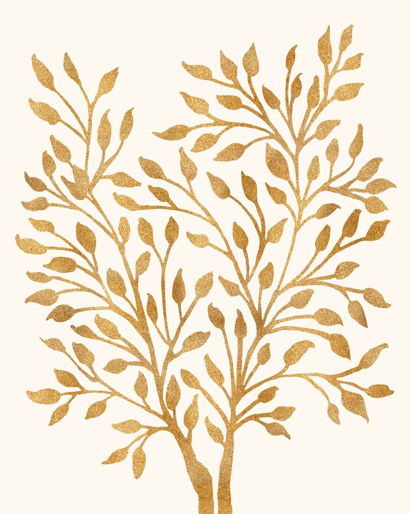 Golden Ficus 4x5 by Modern Tropical