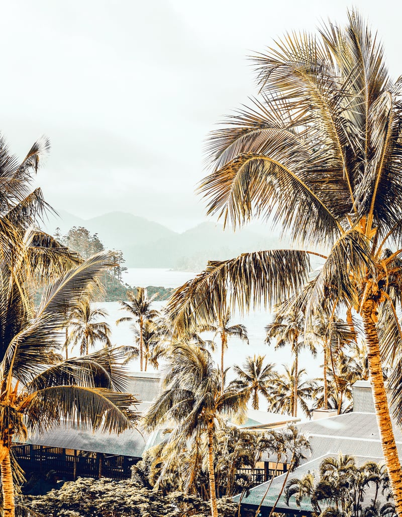 Island View by 83 Oranges