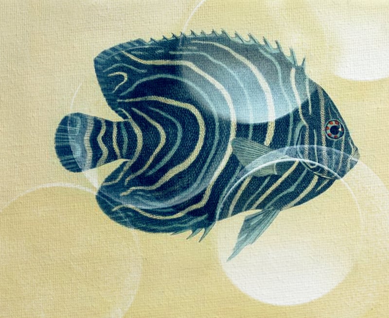 Fish Between Circles by Fernando Vieira