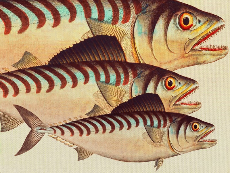 Fish Classic Designs 8 by Fernando Vieira