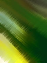 Into The Forest by Digital Canvas thumbnail