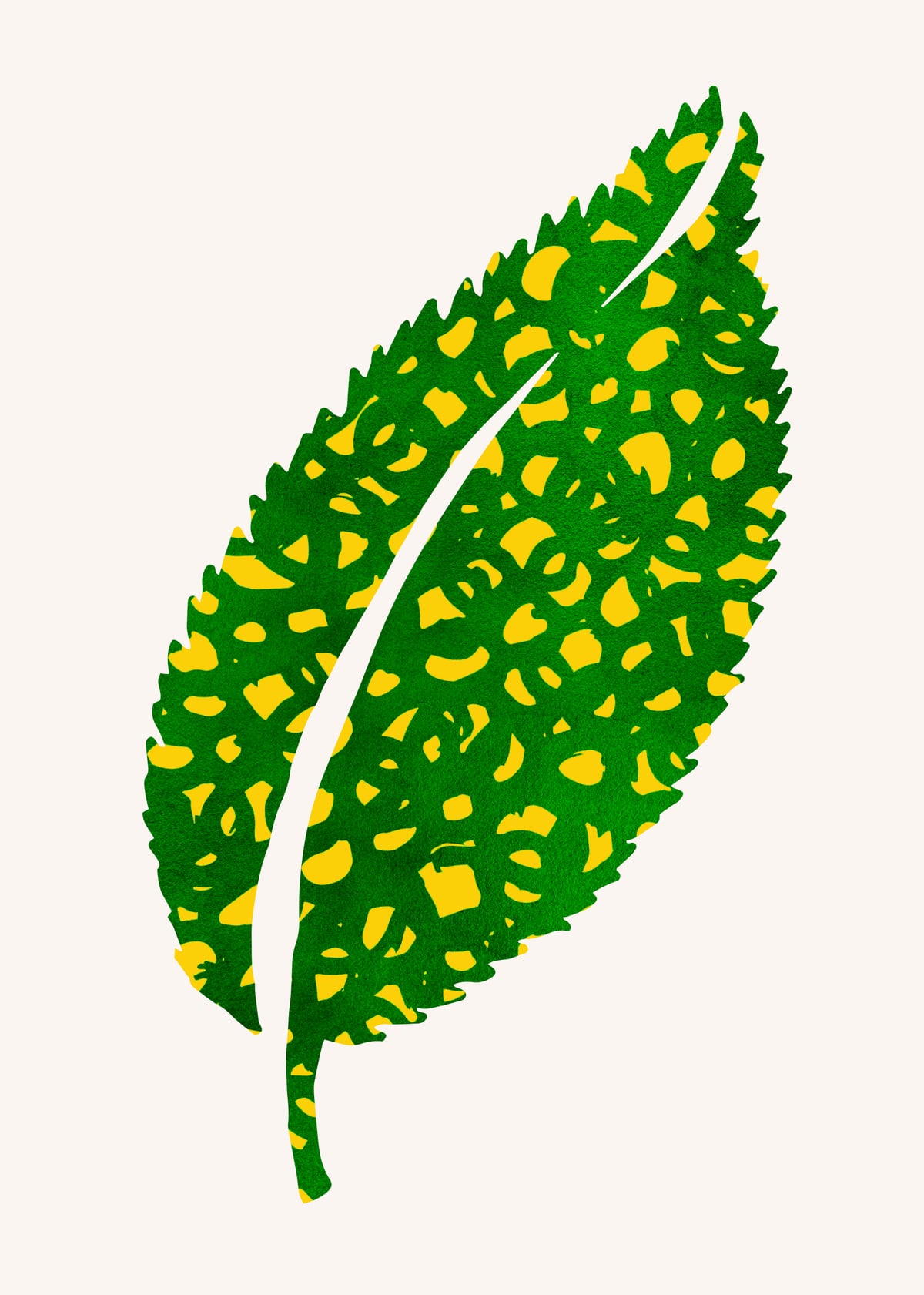 Get Wild by Modern Tropical