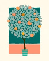Fruit Tree Topiary by Modern Tropical thumbnail