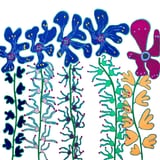 Hail The Flowers by Helen Joynson thumbnail