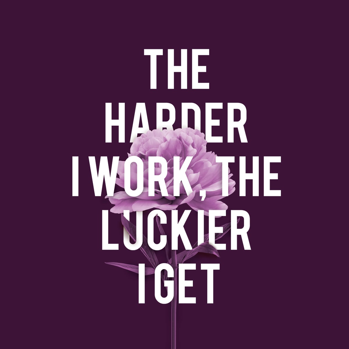 Work Hard Be Lucky by Tamsin Raslan