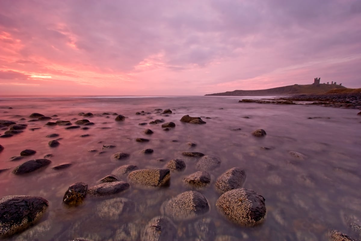 The Day Dawns by Chasing the Light