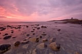 The Day Dawns by Chasing the Light thumbnail
