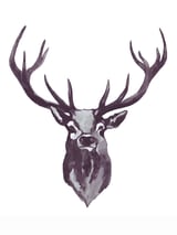 Mountain Love Stag by Mantika Studio thumbnail