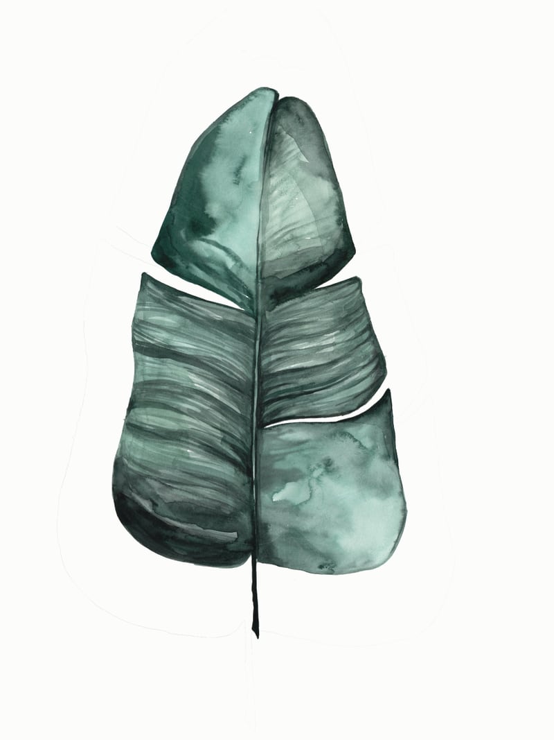 Botanical Illustration Banana Leaf by Mantika Studio