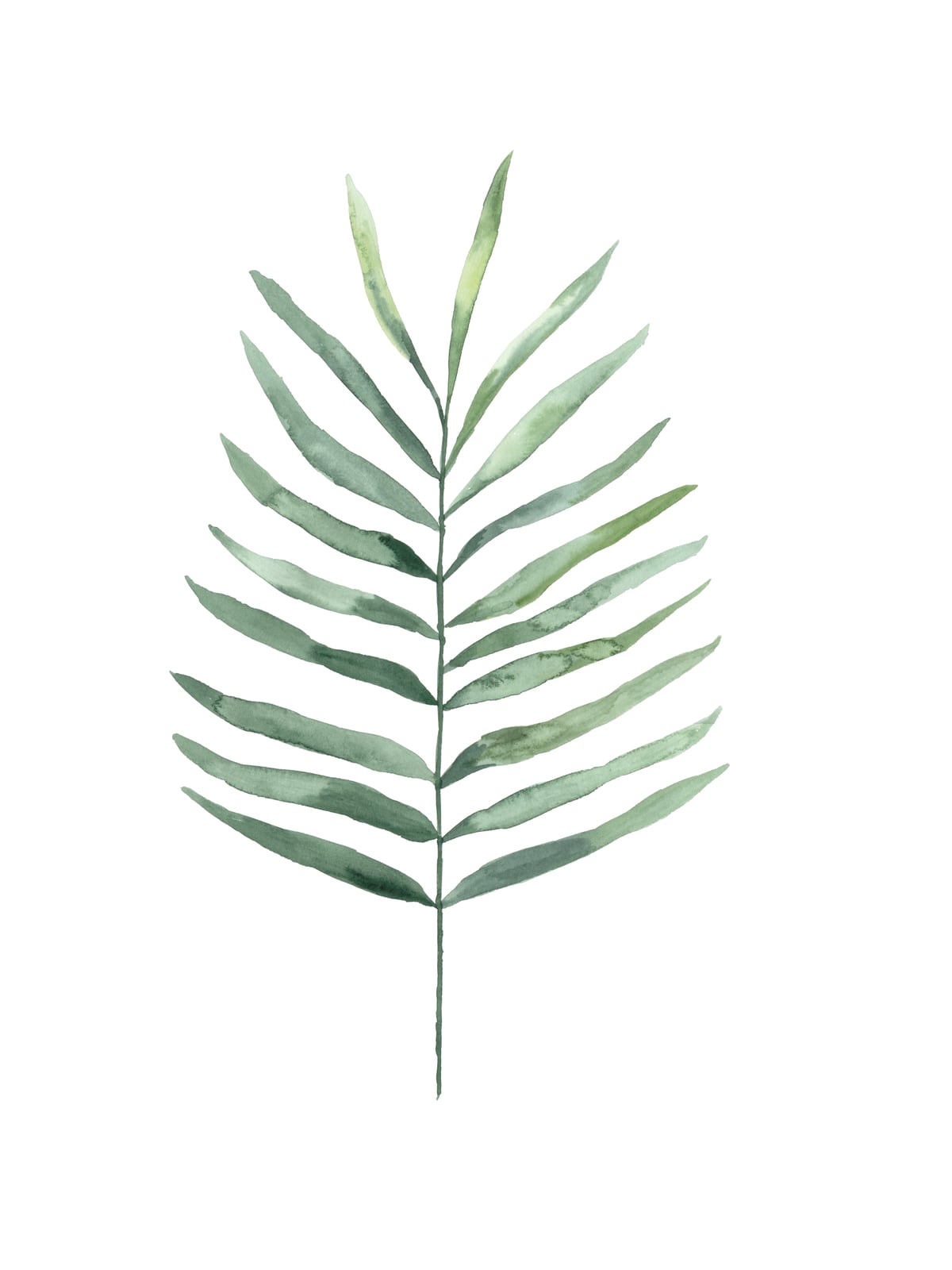 Botanical Illustration Fern by Mantika Studio