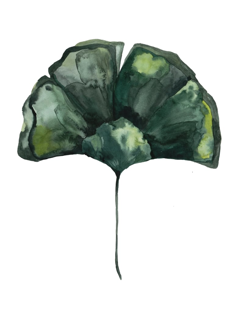 Botanical Illustration Ginko by Mantika Studio
