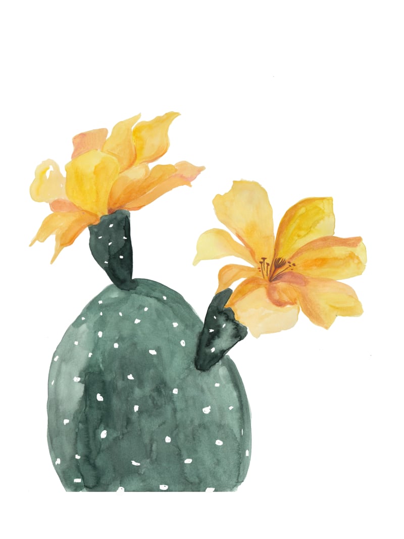 Botanical Illustration Yellow Cactus Flowers by Mantika Studio