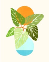 Tropical Symmetry II by Modern Tropical thumbnail