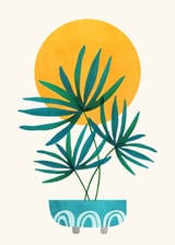 Little Palm by Modern Tropical thumbnail