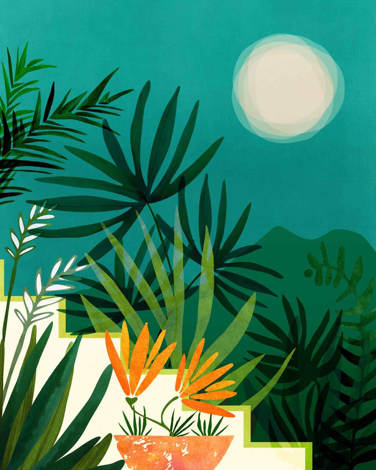Tropical Moonlight by Modern Tropical