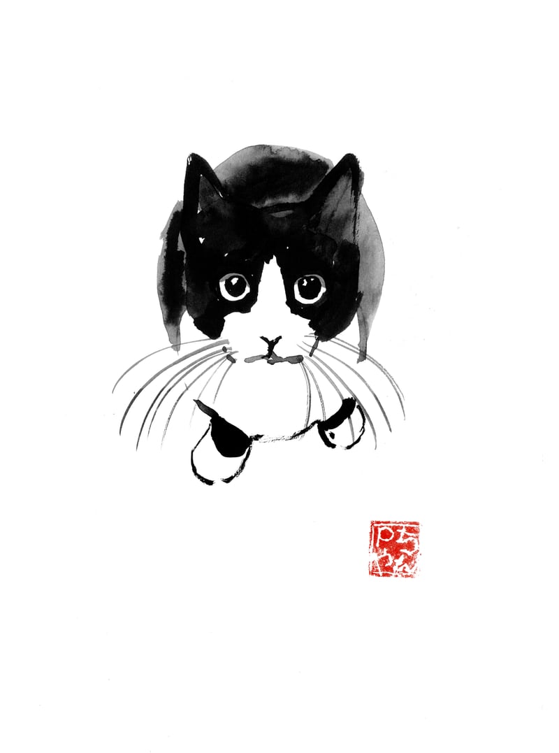 Above cat by pechane