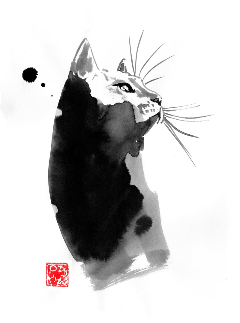 Profil Spot Cat by pechane