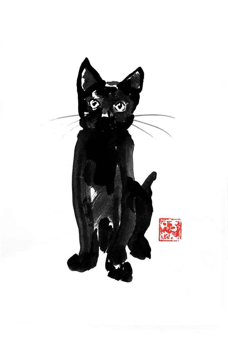 Rough Cat 02 by pechane