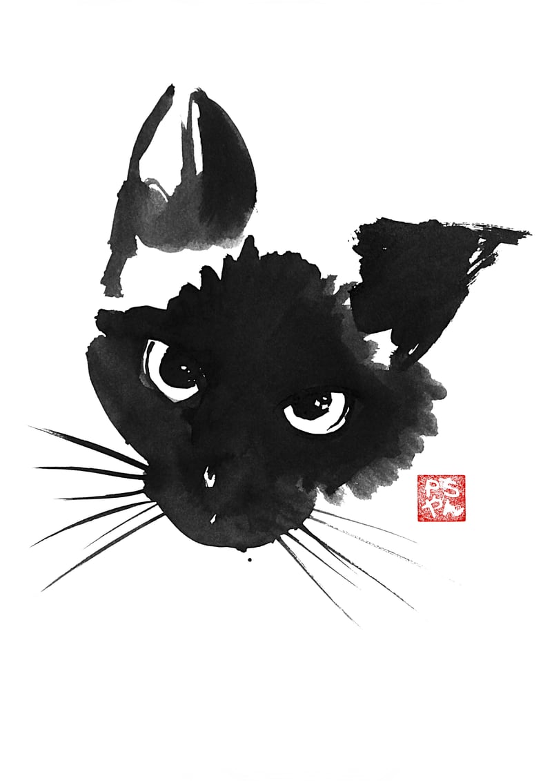 Siamese Cat by pechane