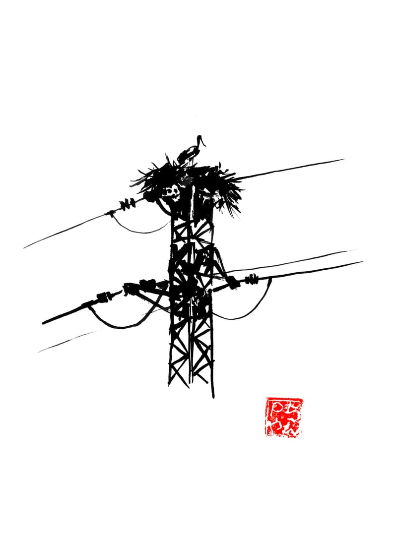 Stork Nest by pechane