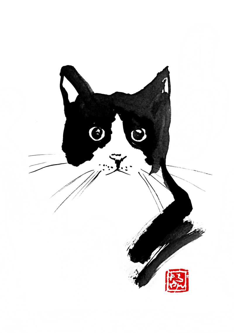 Stray Cat by pechane