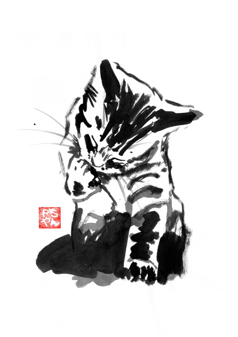 Washing cat by pechane