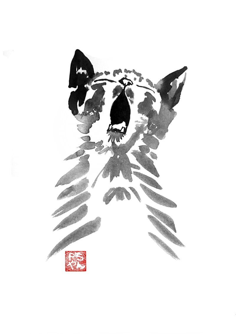 Yawning Cat  by pechane