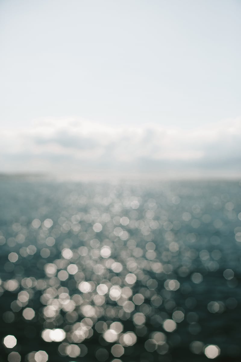 Pamlico Sparkle #1  by ALICIA BOCK