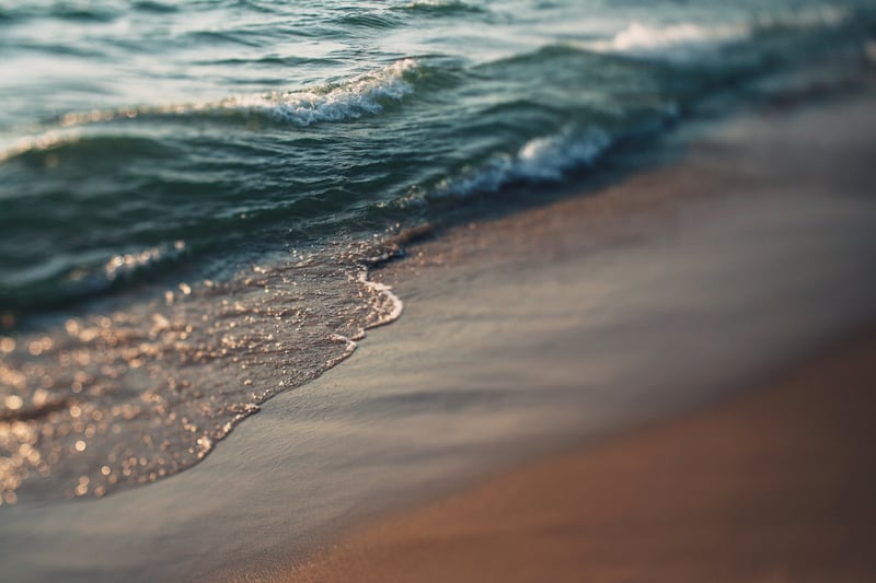 Light Of The World by ALICIA BOCK