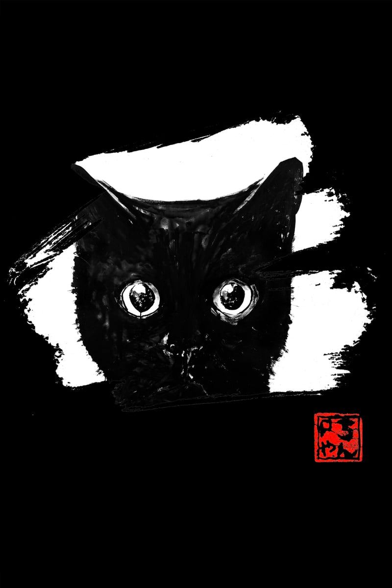 cat face in white by pechane