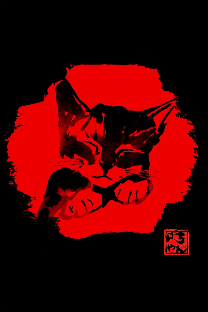 cute cat in red by pechane
