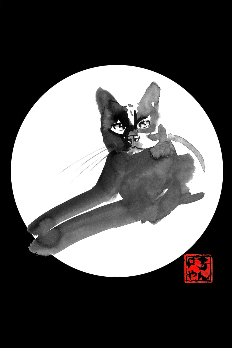 Laying Cat in white by pechane