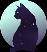 Cat Night by Mint Racer thumbnail