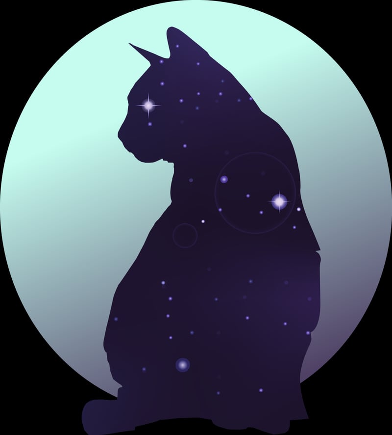 Cat Night by Mint Racer