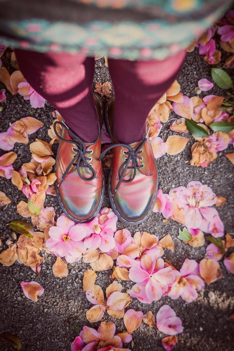 Vintage Pinks #2 by Debra Cox