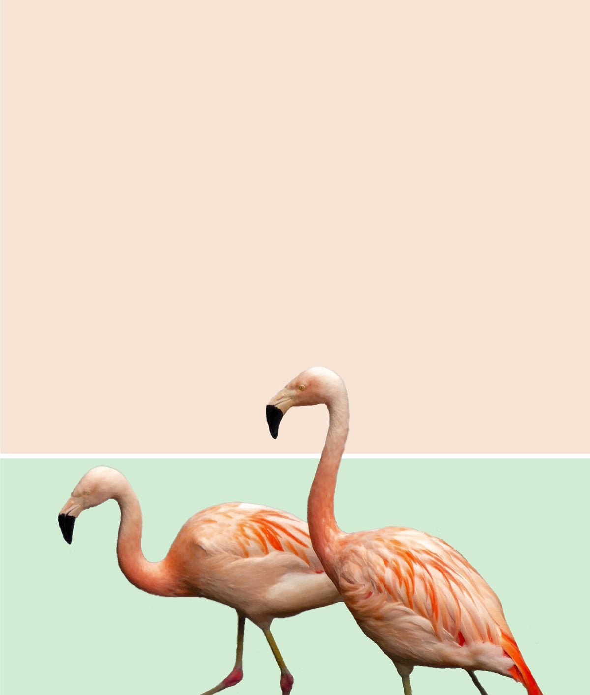 Flamingo Pastel Art by 83 Oranges