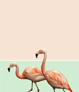 Flamingo Pastel Art by 83 Oranges thumbnail
