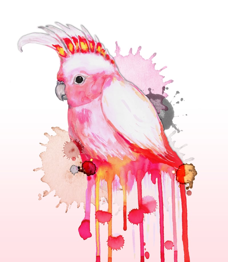  Major Mitchell's cockatoo by Bwiselizzy